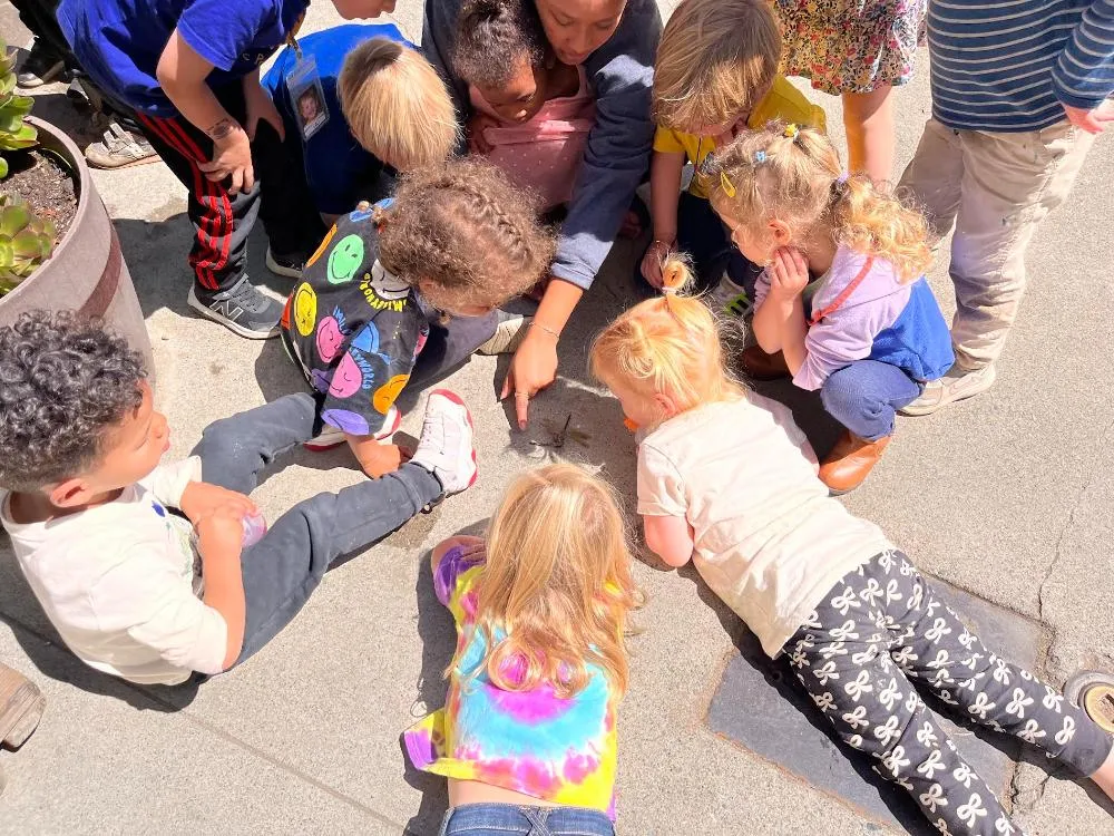 A circle of children huddled together watching a dragonfly on the playground