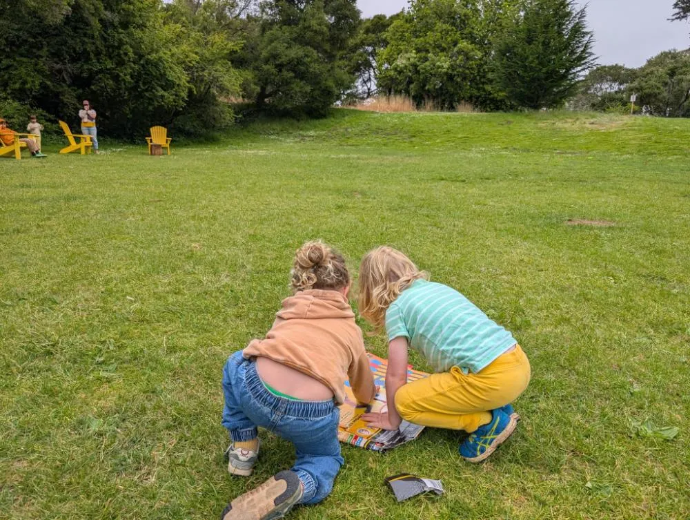 Children exploring together in a grassy field