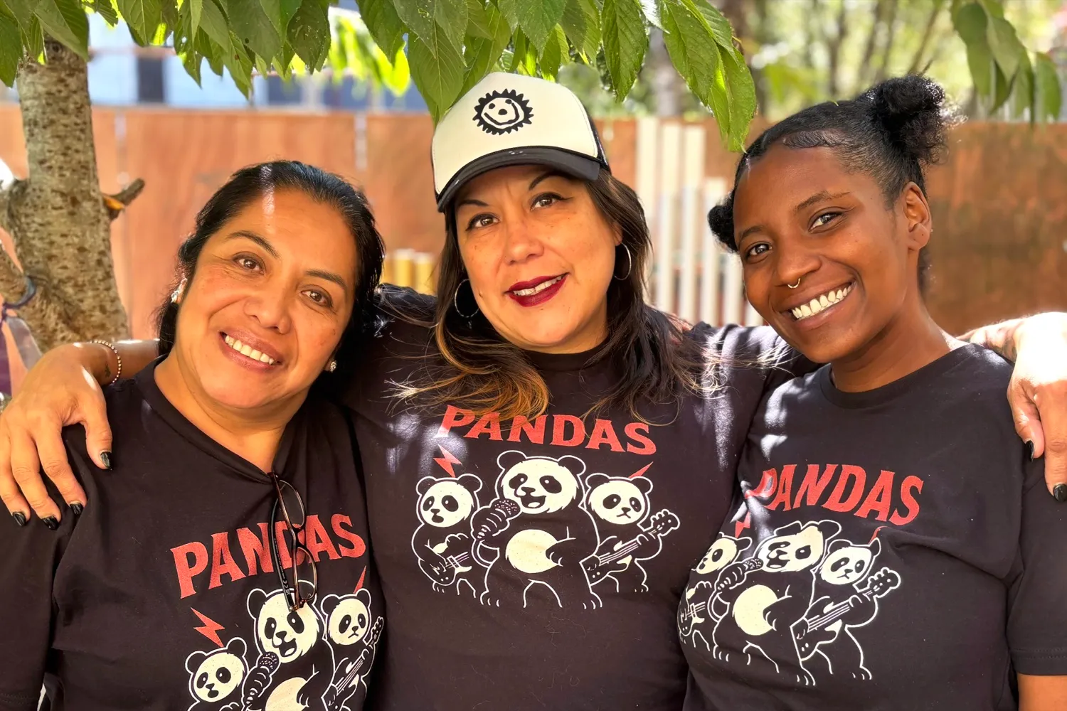 The Pandas teaching team